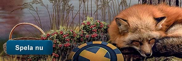 Mysig höstbonus i casinot - Få 200 Free Spins för 100 kr